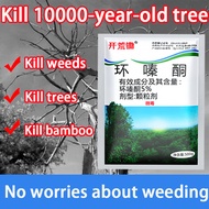 Big trees rot at the roots 5% Hexazinone Tree killer Racun pokok kayu besar 500g Racun pokok paling 