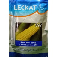 REPACK. Biji benih jagung manis kuning LECKAT 592 F1 HYBRID