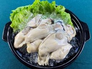 【火鍋料系列】日本廣島牡蠣清肉2L(5顆)/約180g±5g(分享包)