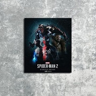 DL25 Spiderman Game Wall Poster