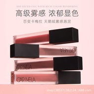 Camera Lipstick K04 Milk Coffee Lip Glaze Matte Lip Mud Autumn Winter Yellow Skin Whitening Official