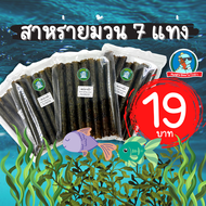 [ส่งไว ไม่เหม็นหืน] สาหร่ายม้วน สาหร่ายอบกรอบ สาหร่ายทะเล ของแท้ 1ห่อมี 7 แท่ง กรอบ อร่อย ไม่เหม็นหื