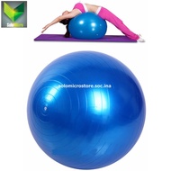 Pilates Yoga Ball Fitness Fitness Gym Ball Size 55CM