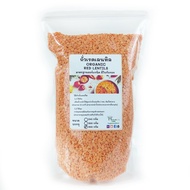 ถั่วเลนทิล แดง ออร์แกนิค 240 800กรัม ตราฮักละมูลฟาร์ม Organic red lentils  เลนทิว เลนทิลแดง