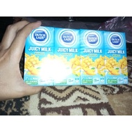 Dutch Lady Juicy Milk Mango / Dutch Lady Juicy Milk Mangga