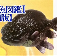 🈲 絕版珍藏 🈲 Yujin 原色観賞魚図鑑Ⅰ［改訂増補版］原色觀賞魚圖鑑 改訂增補版 (黑色蘭壽) 金魚 2007年