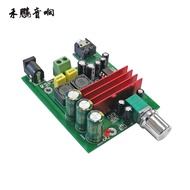 TPA3116D2 Mono Digital Power Amplifier Board 100W Subwoofer Audio Digital Power Amplifier with NE553