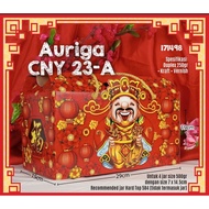 Auriga cny cake box 23 A 29x 15 x 19 cm jar 7 x 14 4 pieces