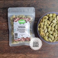 Pumpkin Seed