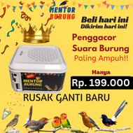 Speaker Mp3 Masteran Burung Kicau Gacor 300 Suara Original Love Bird Murai Batu Kacer Cucak Rowo