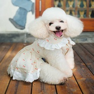 New Mailei Pet Clothes Summer Clothes Teddy Poodle Small Dog Dog Pet Skirt
