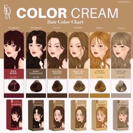 (พร้อมส่ง 9 สี) KOTA Color Cream สีย้อมผมโคตะ ยาย้อมผม มี 9 เฉดสี 100 ml.