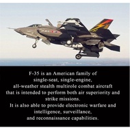 Realistics Scale Jet Tempur Diecast Collection Fighter Jet Military Plane Model F-35 Aircraft Air Fo