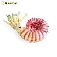 [Nikuyshop] Educational Toys Display Ancient Animals Dinosaur Ammonite Nautilus Animal Figure