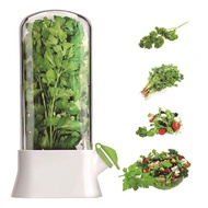 Cilantro Storage Box for Refrigerator Herb Keeper with Lid Adjustable Vents BPA-Free Vegetables Fres