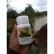 Habatussauda Oil + Olive + Sacha Inchi (3in1 Softgel)