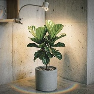 led植物生長燈全光譜補光燈