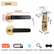 Biometric Security Door Lock Smart Fingerprint Keyless Electronic Digital Lock Bedroom Zinc Alloy Do