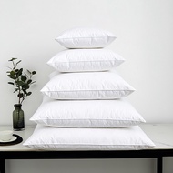 Natural Goose Feather & Down Throw Pillows Insert 40x40/50x50/60x60/48x74cm Bed/Couch/Sofa/Home/Hote