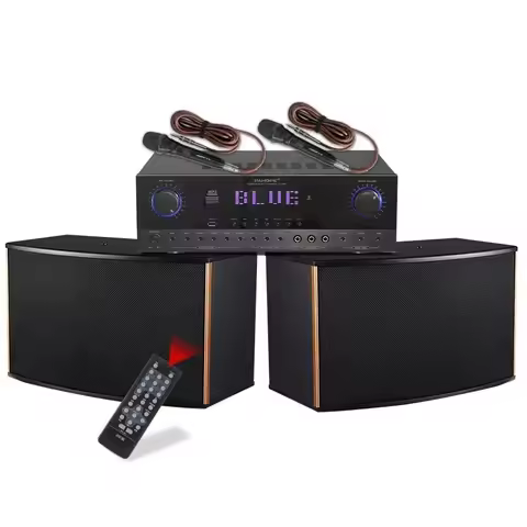 Professional Home KTV Karaoke Sound System Dsp Party Audio Speaker Equipment With Two Wireless Micro