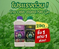ปุ๋ยน้ำสูตรเข้มข้นCabmax Vamax