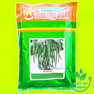 BENIH BUNCIS KENYA ISI 500 GR BUNCIS BIJI PUTIH