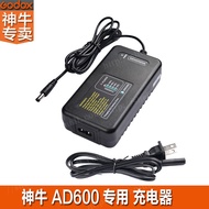 Godox AD600/B/BM/Outdoor Light Lithium Battery Flash Charger/Original Power Charging Adapter