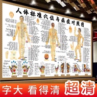 Human Body Standard Acupuncture Points and Disease Comparison Chart Poster Meridian Health Wall Stic