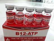 05 LỌ TĂNG LỰC CHO GÀ ĐÁ B12_ATP