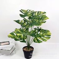 [พร้อมส่งทั้งกระถาง+หิน]ต้นไม้ปลอมมอนสเตอร่าด่าง (Monstera) สูง 61 ซม.