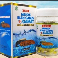 Kapsul ikan gabus pro albumin original