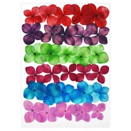 【Discount】 1bag Pressed Dried Conyza Canadensis Filler Flower For Epoxy Resin Jewelry Making Postcar