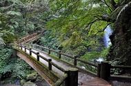 新北旅遊｜參團就送金牛角！走入山林~三峽滿月圓遊樂區森呼吸.白雞行修宮.新北市美術館園區1日