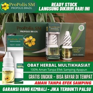 PROPOLIS SM BRAZILIAN EKSTRAK PROPOLIS BRAZILIAN WITH NANO TECHNOLOGY BPOM HALAL