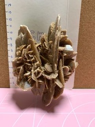 沙漠玫瑰原石