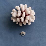 (Worn by NMIXX Haewon) Coral Ring