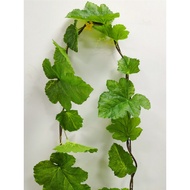 Simulation Pumpkin Vine Large Rubber Leaf Plastic Flower Vine Green Leaf Vine Z Watermelon Loofah Vi