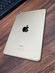iPad mini 64g