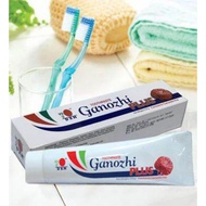 DXN GANOZHI TOOTHPASTE PLUS 150gm