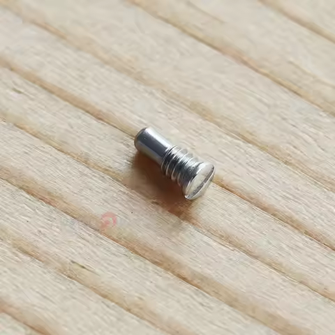 Watch Buckle Clasp Screw for Patek Philippe Leather Strap