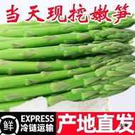 Asparagus Fresh Origin Direct Sales Now Dig 3kg Tender Green Bamboo Shoots Green Fresh Asparagus Ten