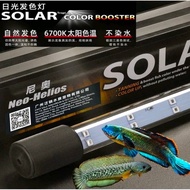 SOLAR COLOR BOOSTER Aqua Nice lampu 6700k