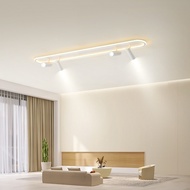 Simple and elongated spotlights/eye rail lights/30CM-120CM/remote control/LED ceiling lights/room ceiling