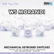 Wuque WS Morandi Linear Switch