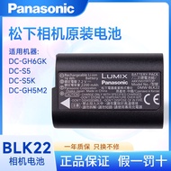 Panasonic DMW-BLK22 Original Battery DC-S9 GH6 GH7 S5K GH5M2 S5M2X g9m2 Camera Lithium Battery Charg