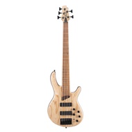 Cort B-5 Element Electric 5-String Bass W/Bag - ( B5 Element / B5Element )