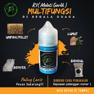 Essen Ikan Nila Liar Media Lumut Bandul Benyer Umpan Multifungsi Paling Ampuh Esen si jurig R7