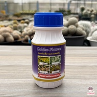 Golden Flower ยากันรา กันแมลง เร่งราก เร่งดอก 250 ซีซี ไม้อวบน้ำ กุหลาบหิน กระบองเพชร cactus&amp;succulent