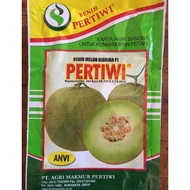 READY Benih Bibit Melon Pertiwi Anvi