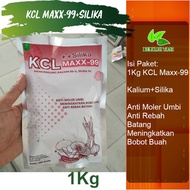 KCL White Maxx 99 plus Silika 1 Kg Pupuk Kalium Penambah Bobot Buah Pemanis Buah